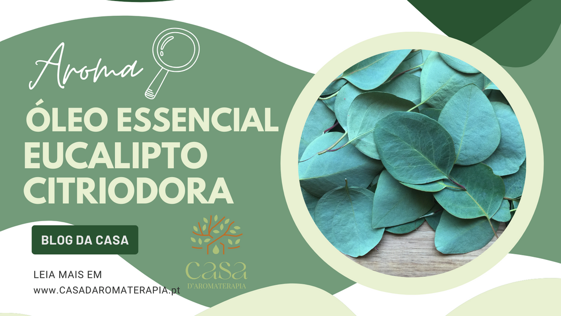 AromaLupa 🔎 Óleo Essencial de Eucalipto Citriodora