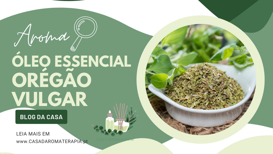 AromaLupa 🔎 Óleo Essencial de Orégão Vulgar