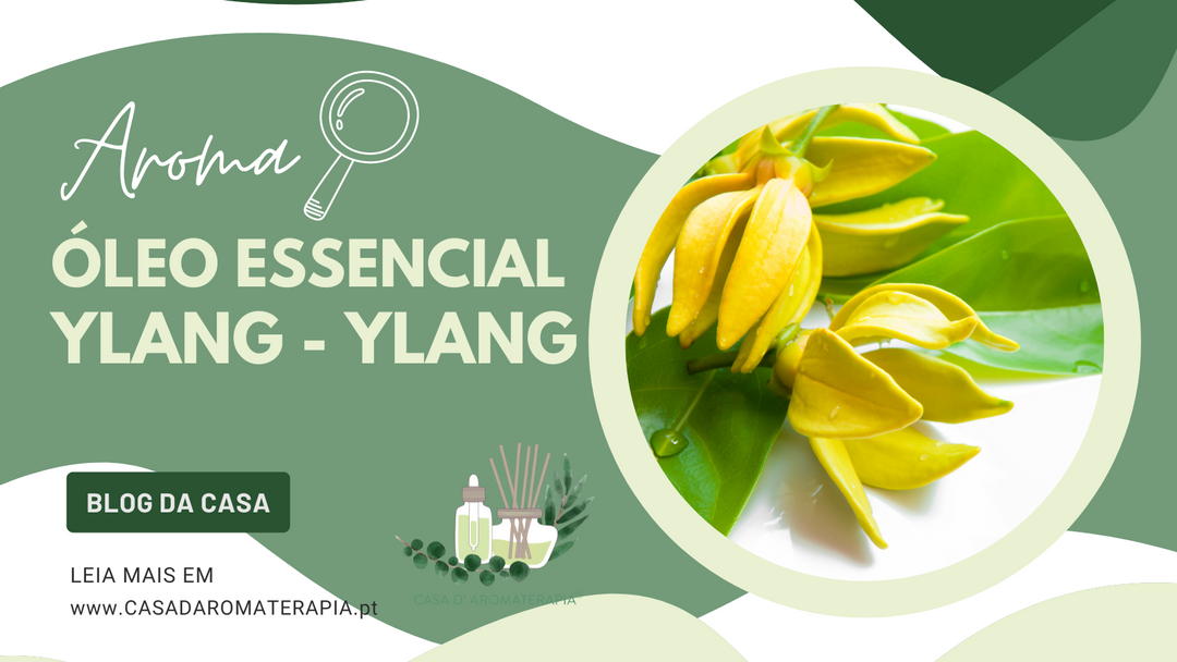 AromaLupa 🔎 Óleo Essencial de Ylang-Ylang