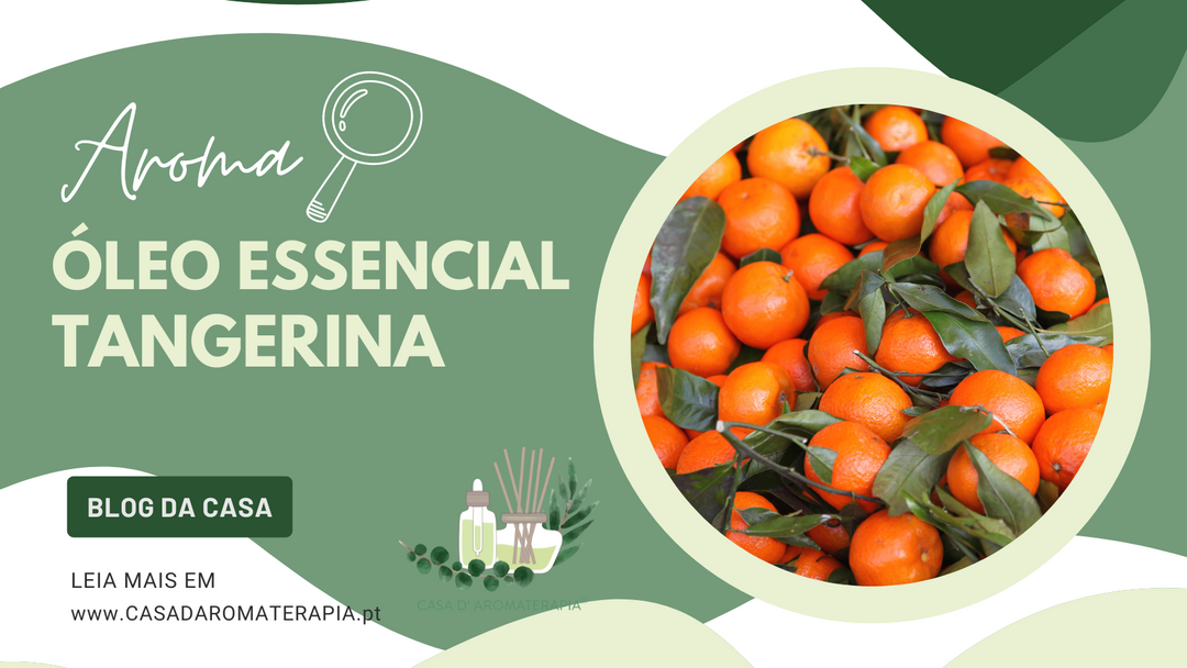 AromaLupa 🔎 Óleo Essencial de Tangerina