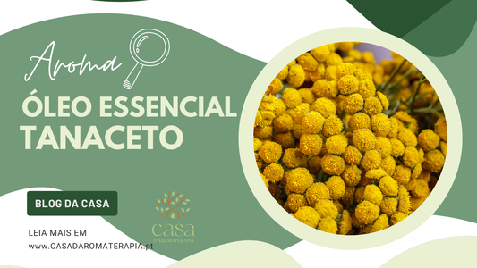 AromaLupa 🔎 Óleo Essencial de Tanaceto Azul