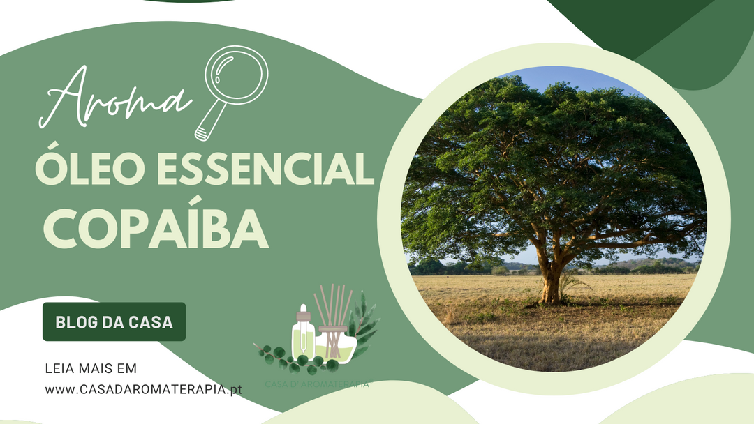 AromaLupa 🔎 Óleo Essencial de Copaíba