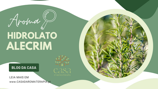 AromaLupa 🔎 Hidrolato de Alecrim qt. Cânfora
