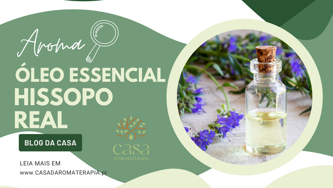 AromaLupa 🔎 Óleo Essencial de Hissopo Real