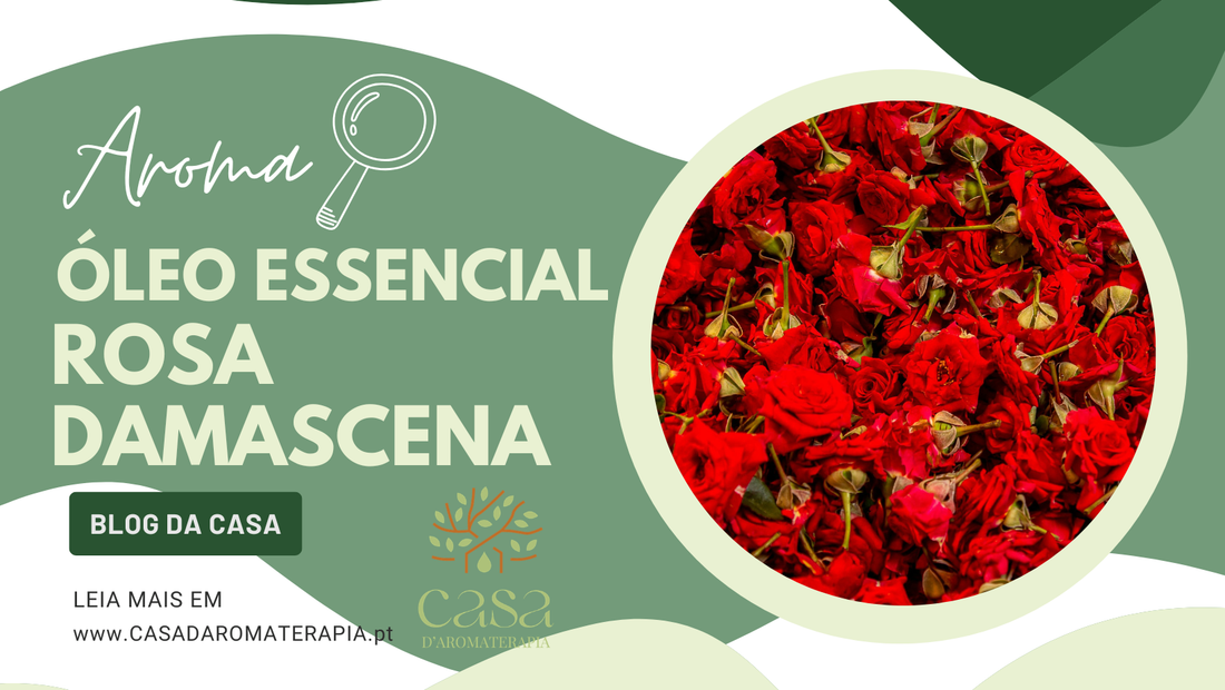 AromaLupa 🔎 Óleo Essencial de Rosa Damascena