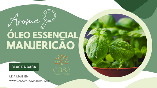 AromaLupa 🔎 Óleo Essencial de Manjericão