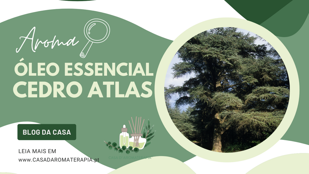 AromaLupa 🔎 Óleo Essencial de Cedro Atlas