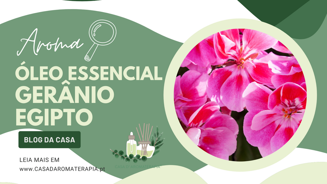 AromaLupa 🔎 Óleo Essencial de Gerânio Egipto