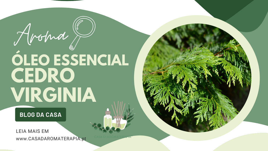 AromaLupa 🔎 Óleo Essencial de Cedro Virginia