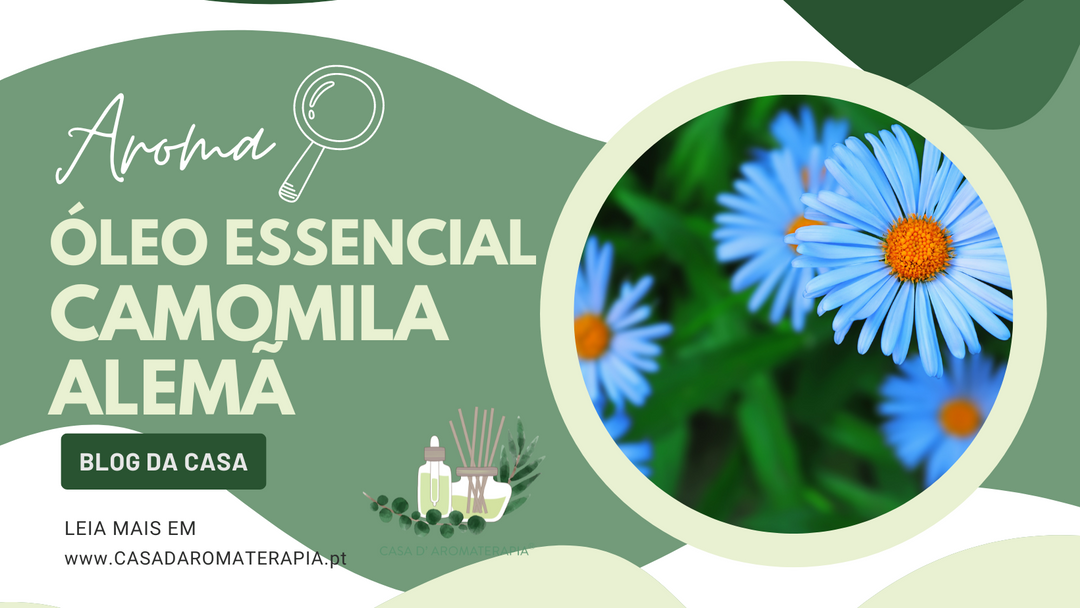 🔎 AromaLupa: Óleo Essencial de Camomila Alemã