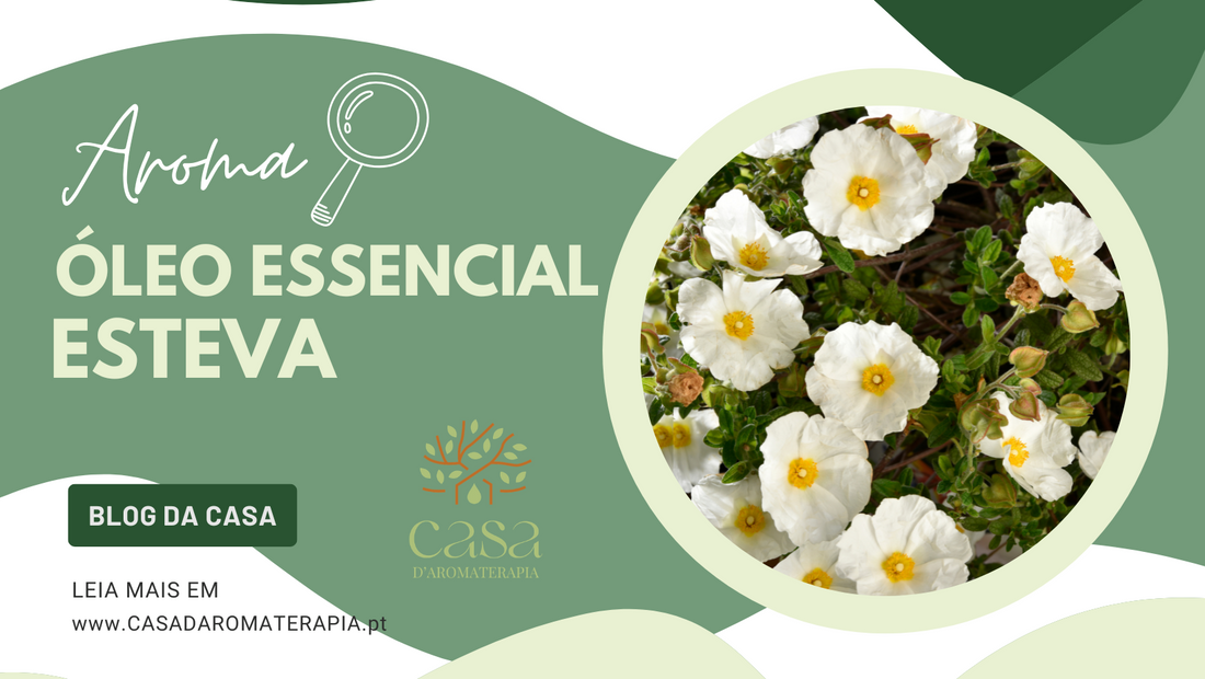 AromaLupa 🔎 Óleo Essencial de Esteva