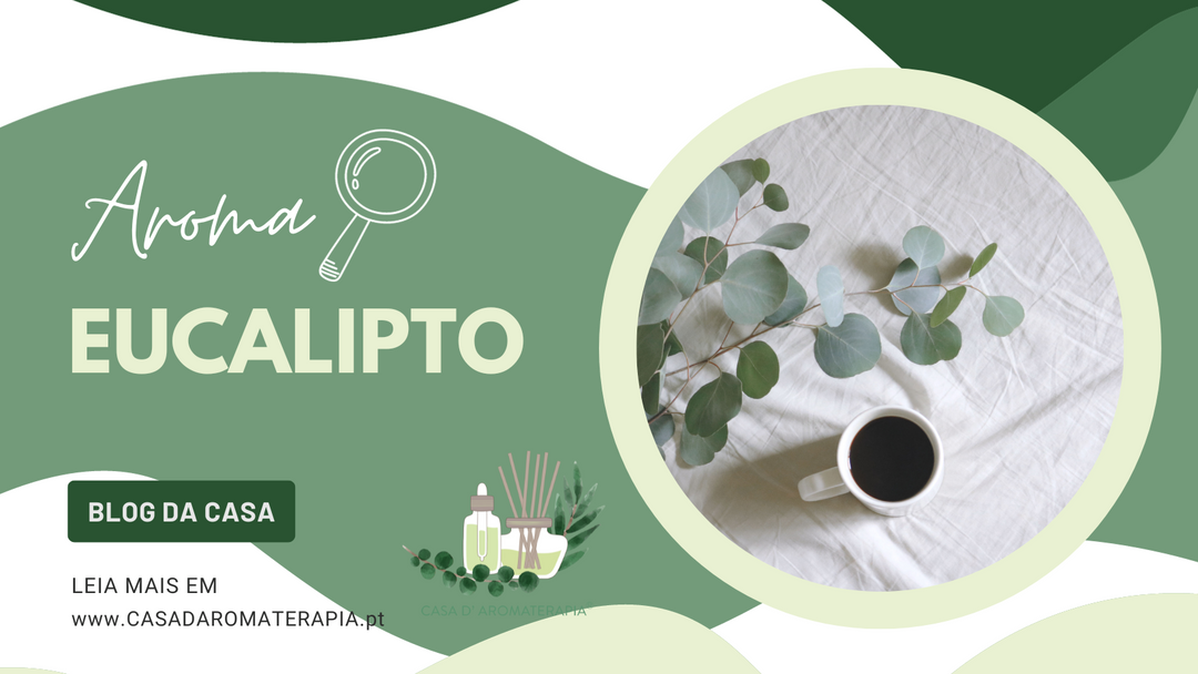 AromaLupa 🔎 Óleo Essencial de Eucalipto Globulus
