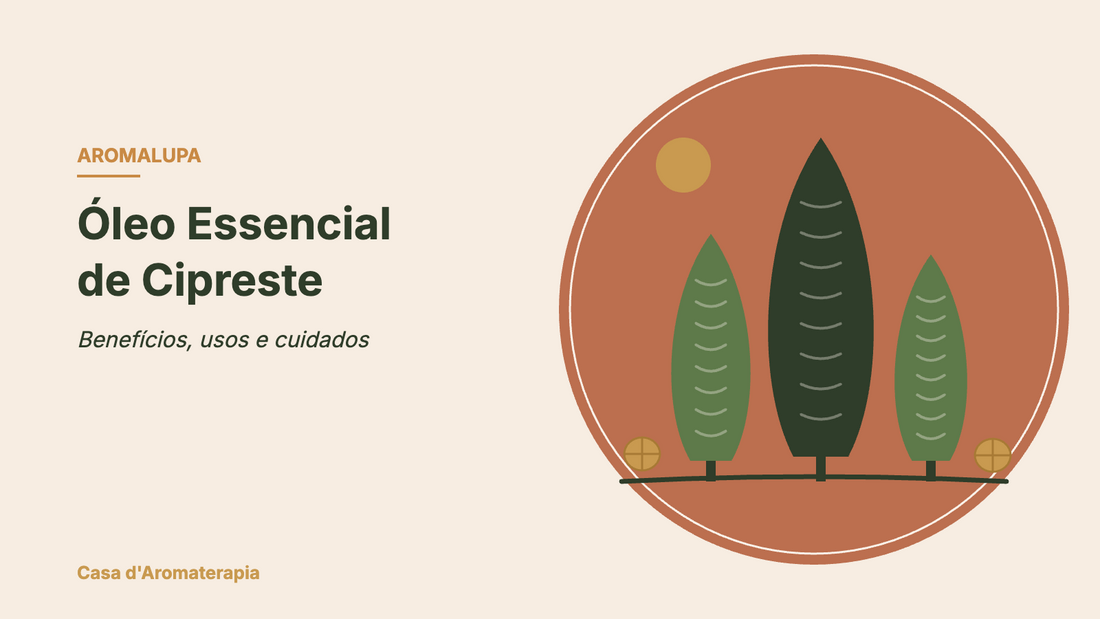 Óleo essencial de cipreste: benefícios, usos e cuidados