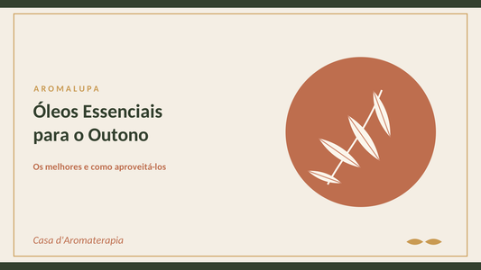 Os Melhores Óleos Essenciais para o Outono (e Como Aproveitá-los)