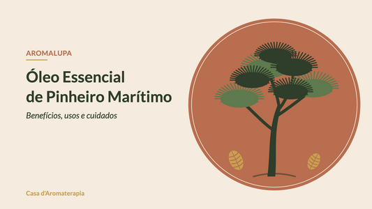 Óleo essencial de pinheiro marítimo: benefícios, usos e cuidados