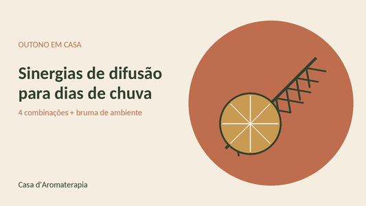 Sinergias de Difusão para Dias de Chuva: 4 Combinações + Bruma de Ambiente