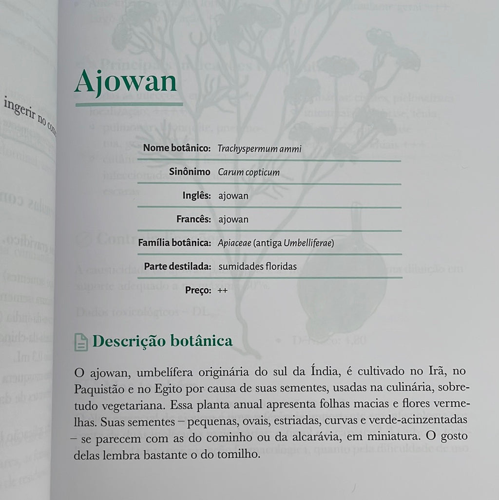 Big Book of Aromatherapy