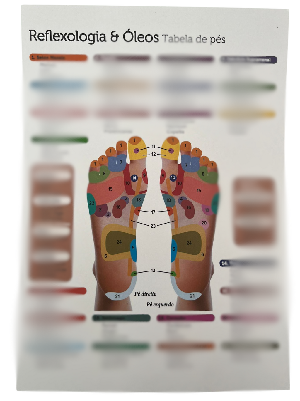 Cartaz Reflexologia Mãos e Pés (Português)