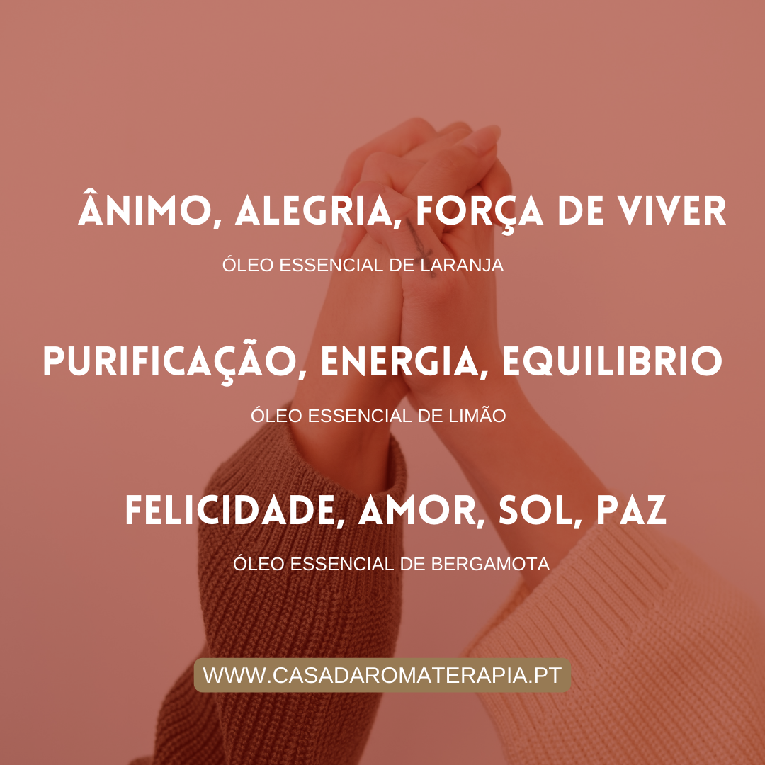 Pack 3 Cítricos (Limão + Bergamota + Laranja)