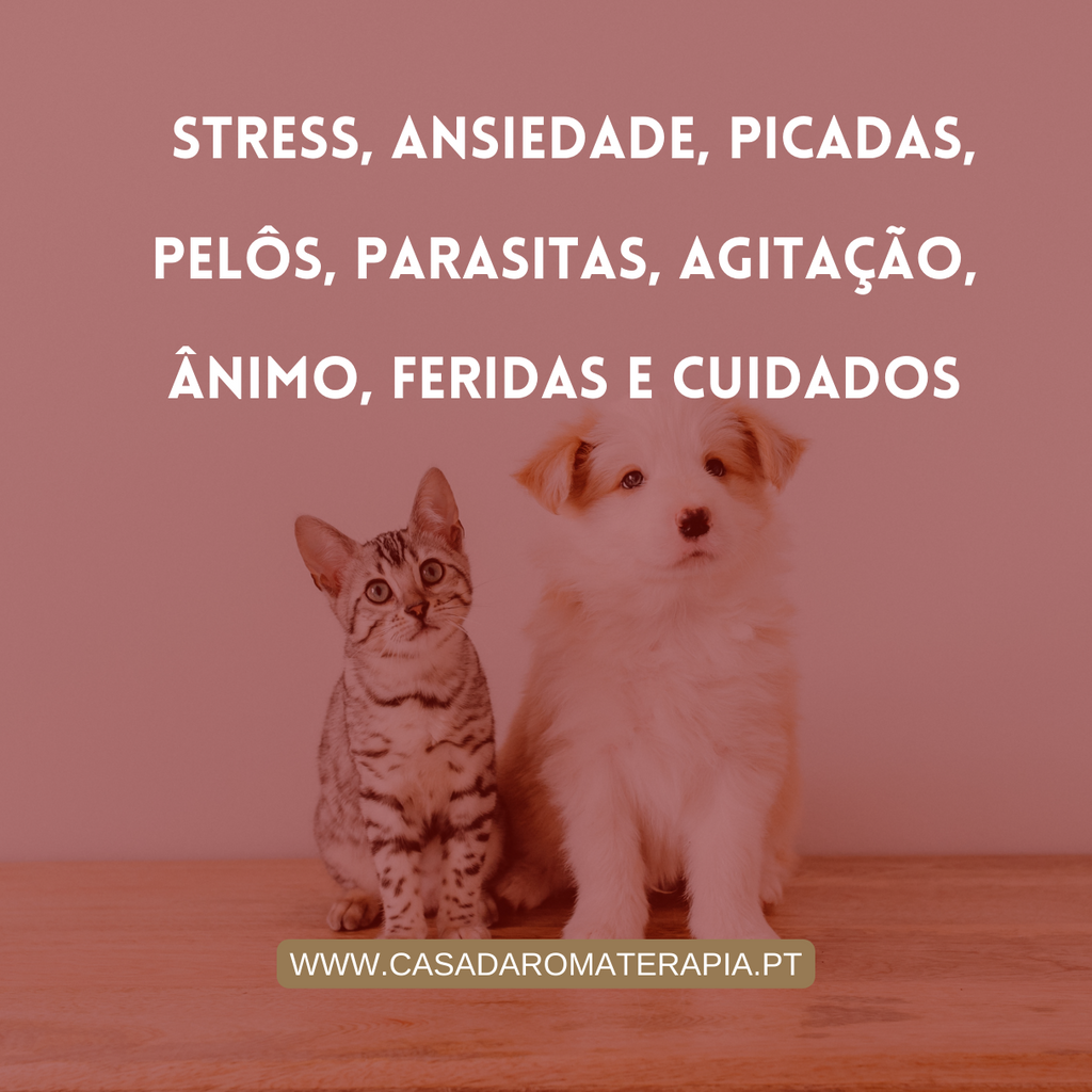 KIT Animais (11 produtos + bolsa).