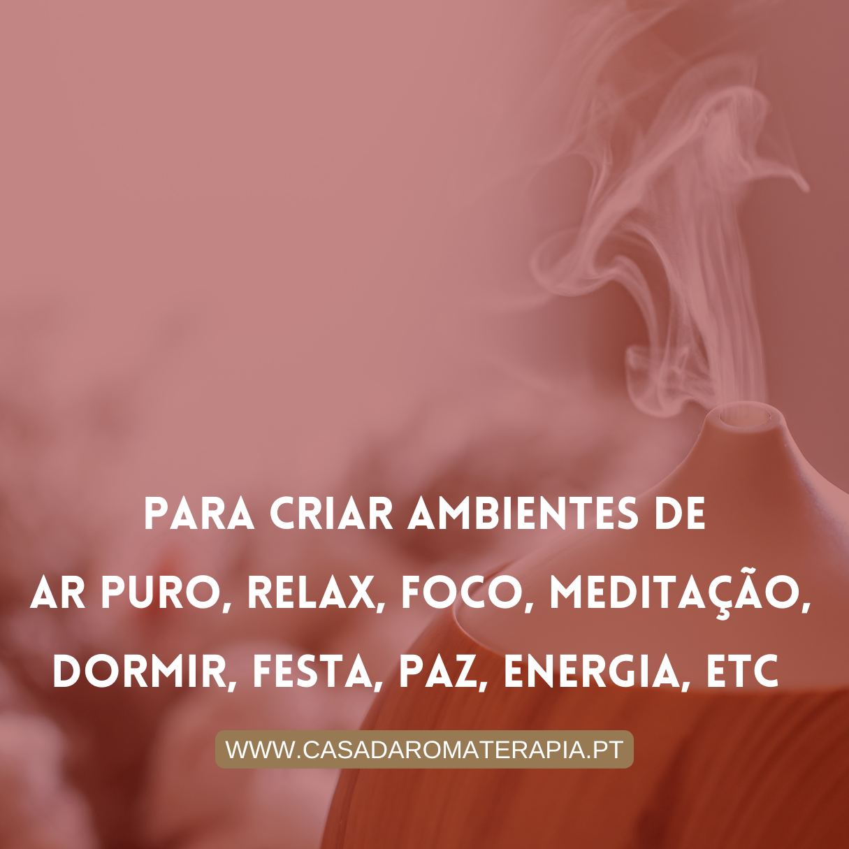 KIT Ambientador Difusão (12 óleos difusão)