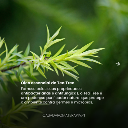 Top 3 Óleos Essenciais: Ar Puro