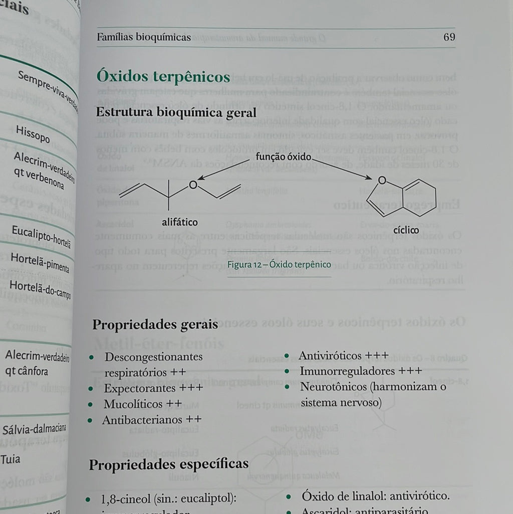 Big Book of Aromatherapy