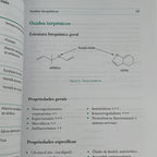 Big Book of Aromatherapy