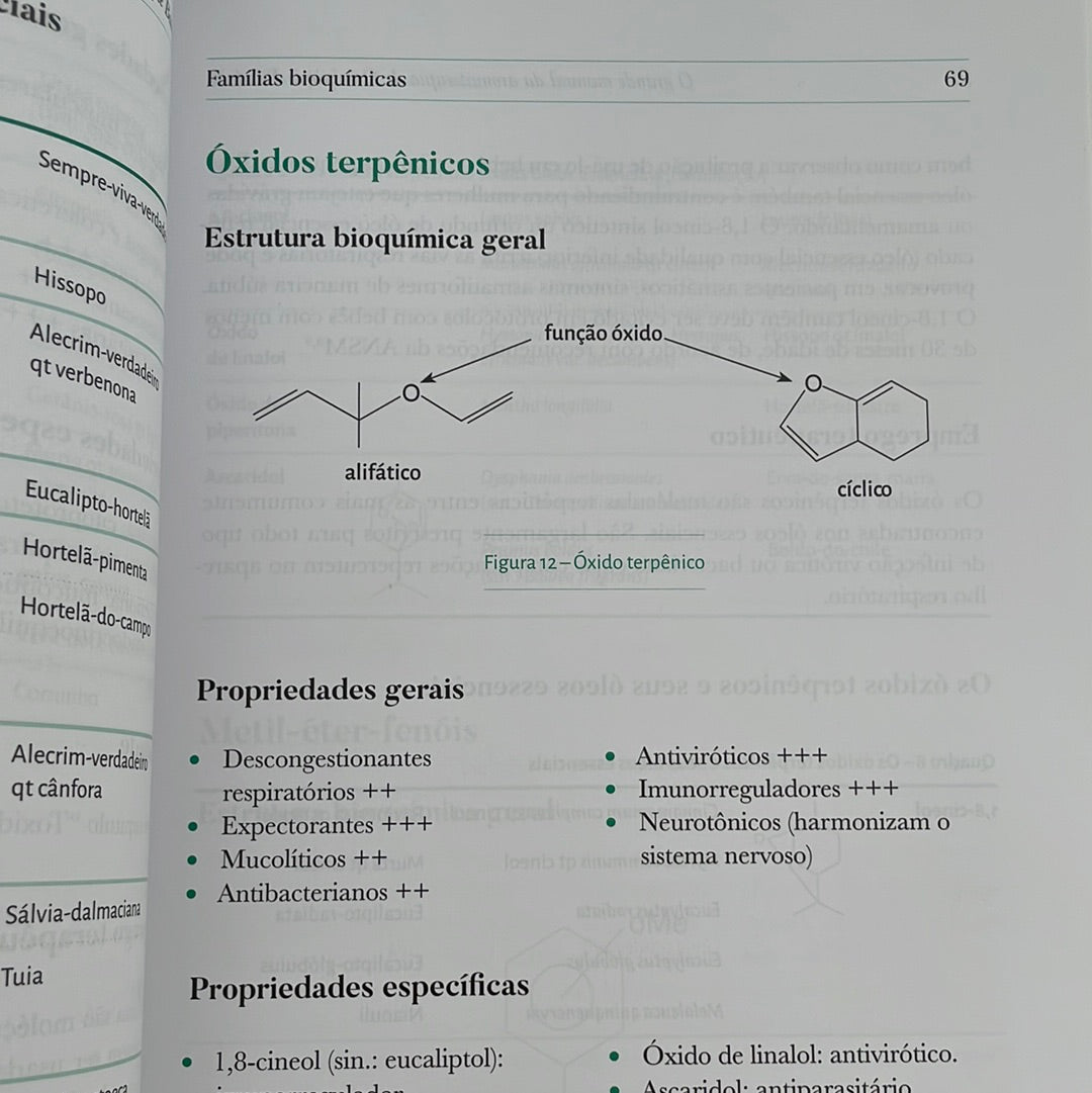 Big Book of Aromatherapy