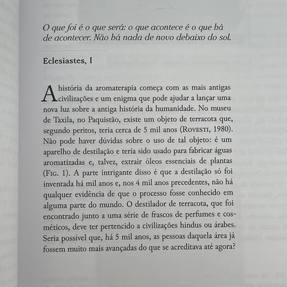 Aromatherapy for Everyone book