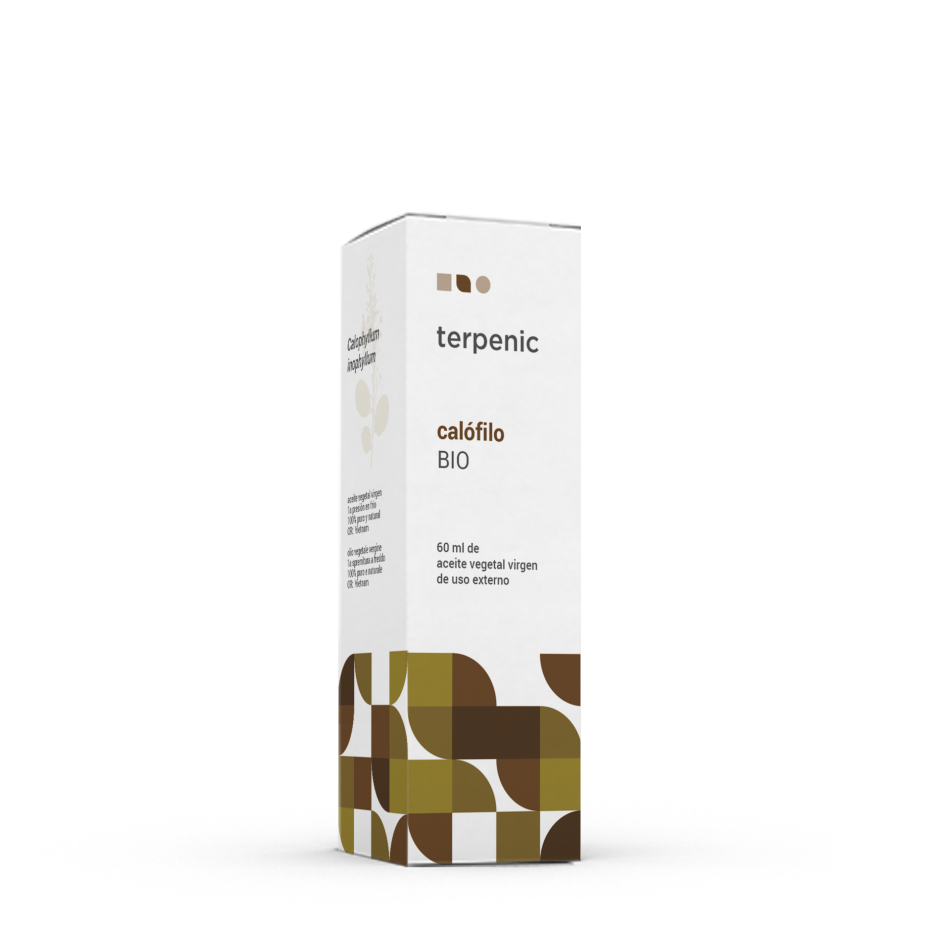 Óleo vegetal Calófilo | Calophyllum inophyllum | BIO | 60ml.