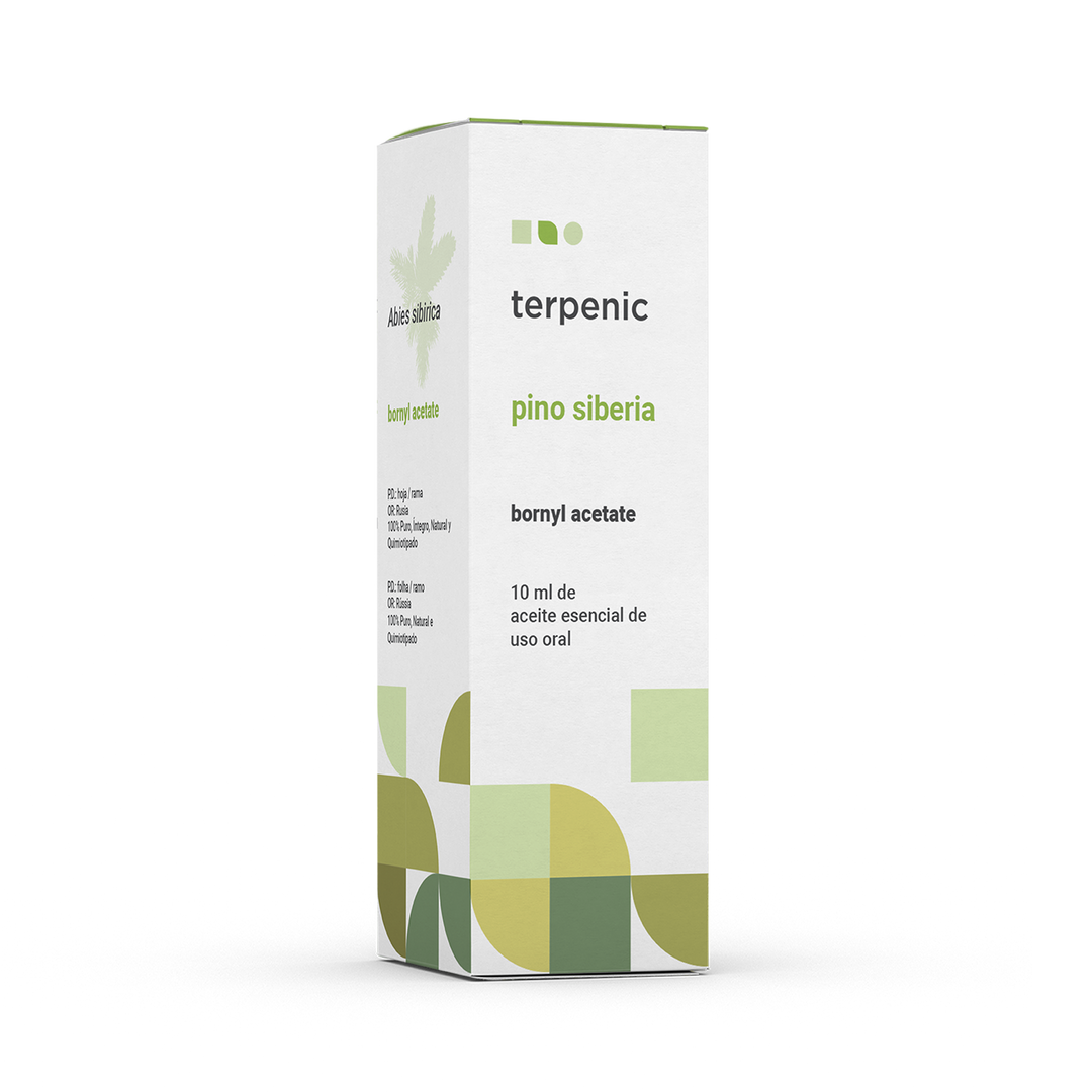 Óleo Essencial Pinho Sibéria 10ml | Abies sibirica