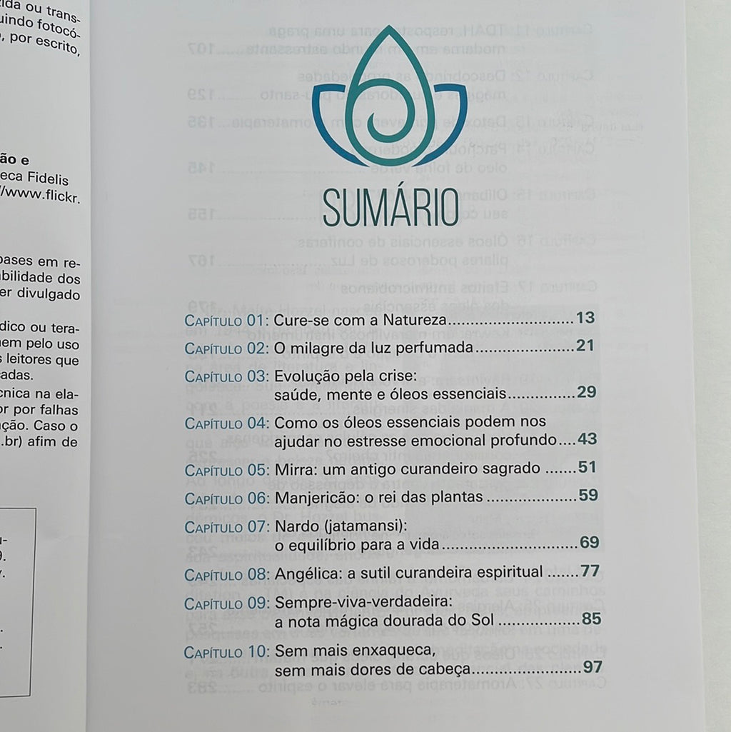 Book Essays on Holistic Aromatherapy 