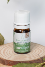 Huile Essentielle Eucalyptus Globulus PT BIO
