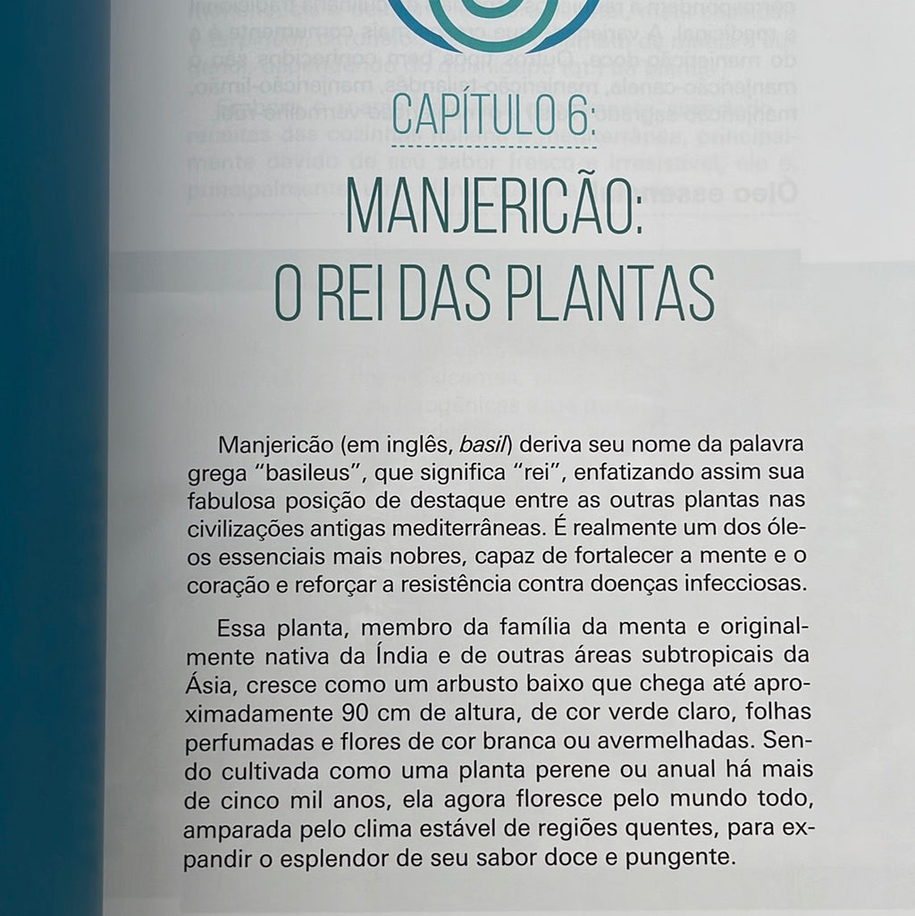 Book Essays on Holistic Aromatherapy 