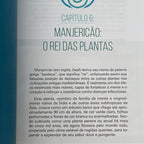 Book Essays on Holistic Aromatherapy 