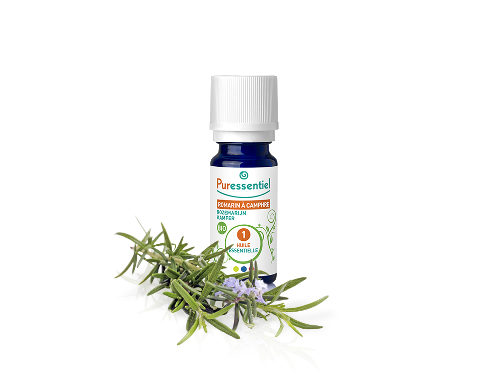 Óleo Essencial de Alecrim Cânfora 10ml bio | Rosmarinus officinalis qt.canfora