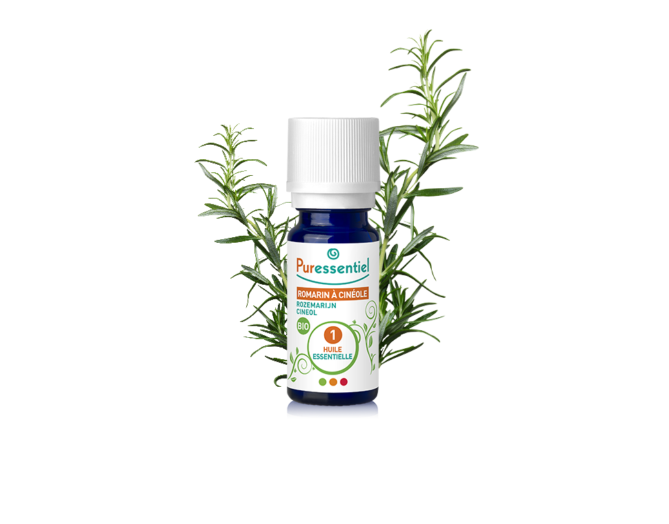 Óleo Essencial de Alecrim Cineol 10ml bio | Rosmarinus officinalis qt.cineol