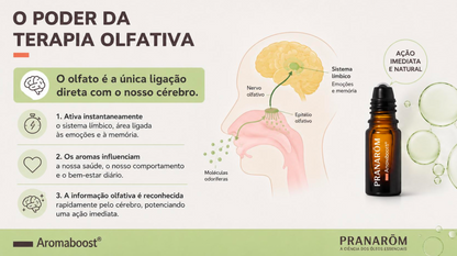 Roll-on Aromaboost Immunity - Pranarôm 8 ml (Óleos Essenciais Bio)