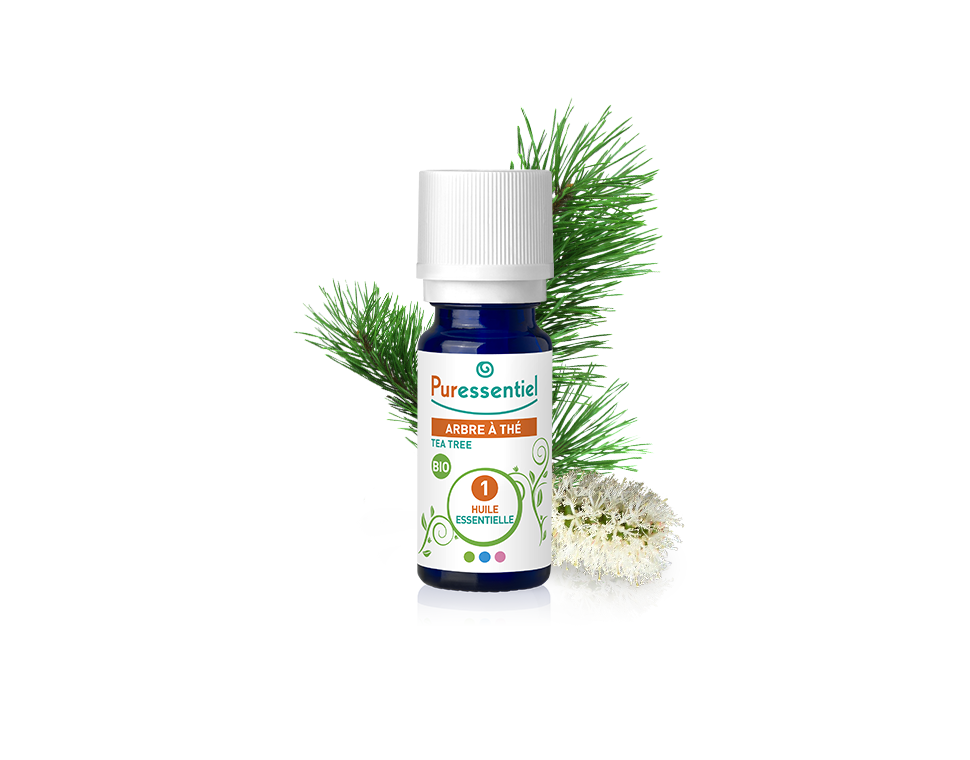 Óleo Essencial de Árvore do Chá BIO 10ml bio | Melaleuca alternifolia (tea tree)