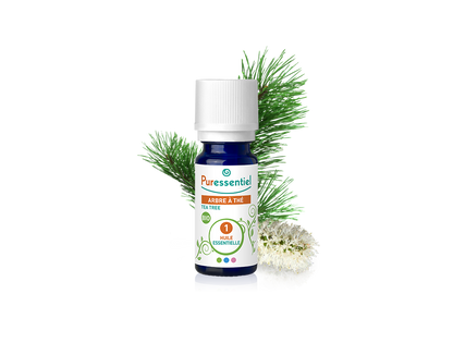 Óleo Essencial de Árvore do Chá BIO 10ml bio | Melaleuca alternifolia (tea tree)