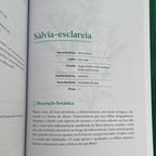 Big Book of Aromatherapy