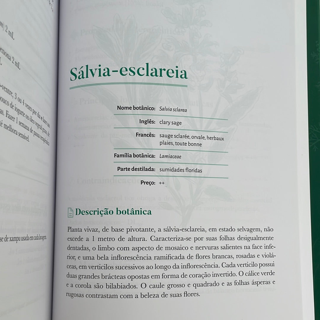 Big Book of Aromatherapy