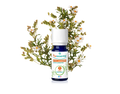 Óleo Essencial de Esteva 5ml bio | Cistus ladaniferus (Validade 05/26)