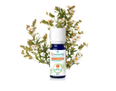 Óleo Essencial de Esteva 5ml bio | Cistus ladaniferus