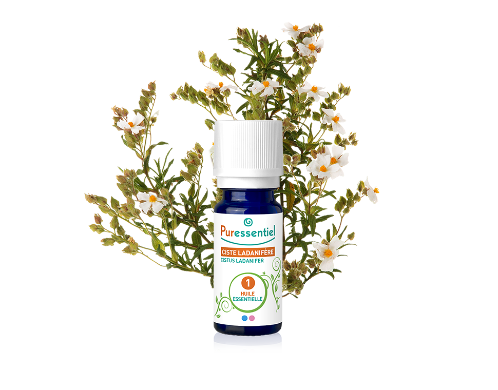 Óleo Essencial de Esteva 5ml bio | Cistus ladaniferus (Validade 05/26)