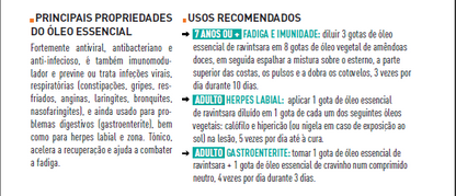 Óleo Essencial de Ravintsara 10ml bio | Cinnamomum camphora