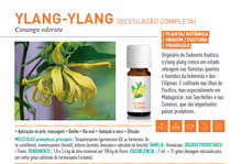Óleo Essencial Ylang Ylang 5ml bio | Cananga odorata %