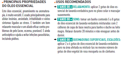 Óleo Essencial de Lavanda Verdadeira 10ml  bio | Lavandula Angustifolia