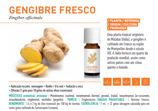 Óleo Essencial de Gengibre 5ml bio | Zingiber officinale %